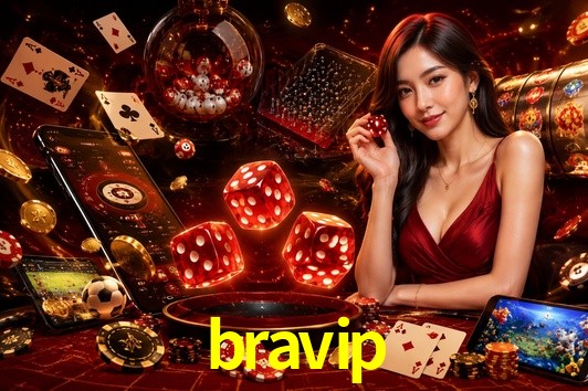 Security Systems bravip